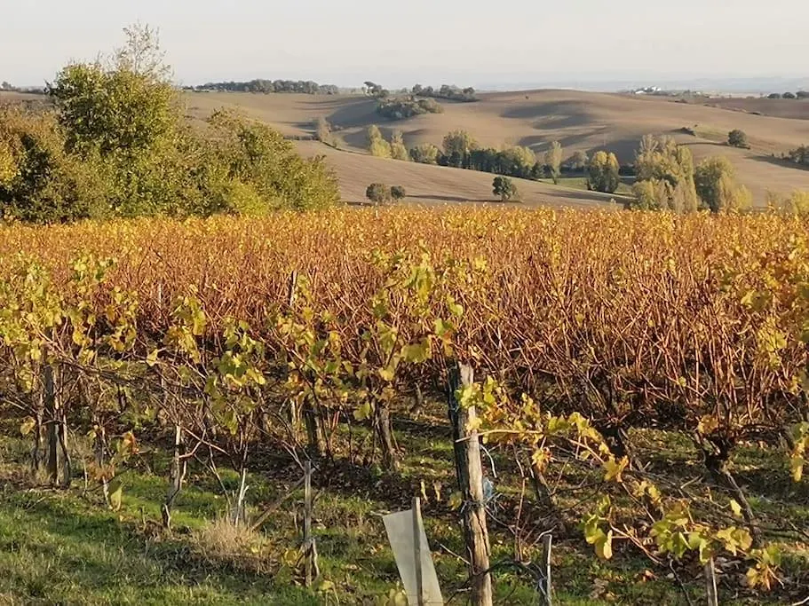 Gite Cosy En Pleine Nature A Grazac Francia